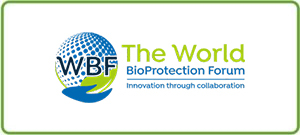 wbf